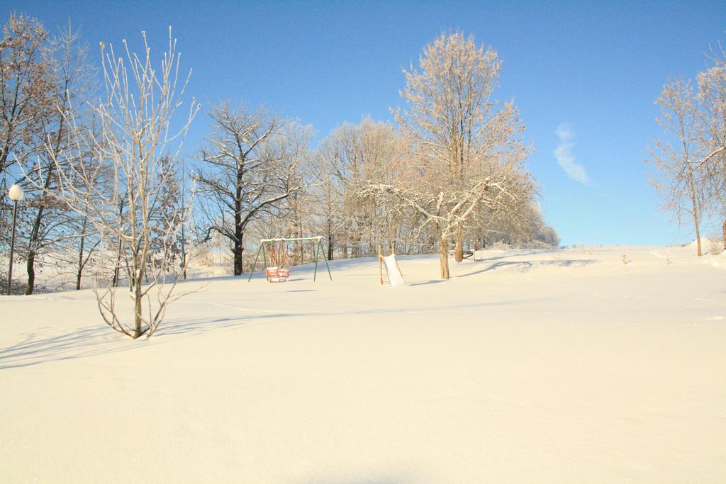 Agroturystyka Ulima Dziwiszow Extérieur photo