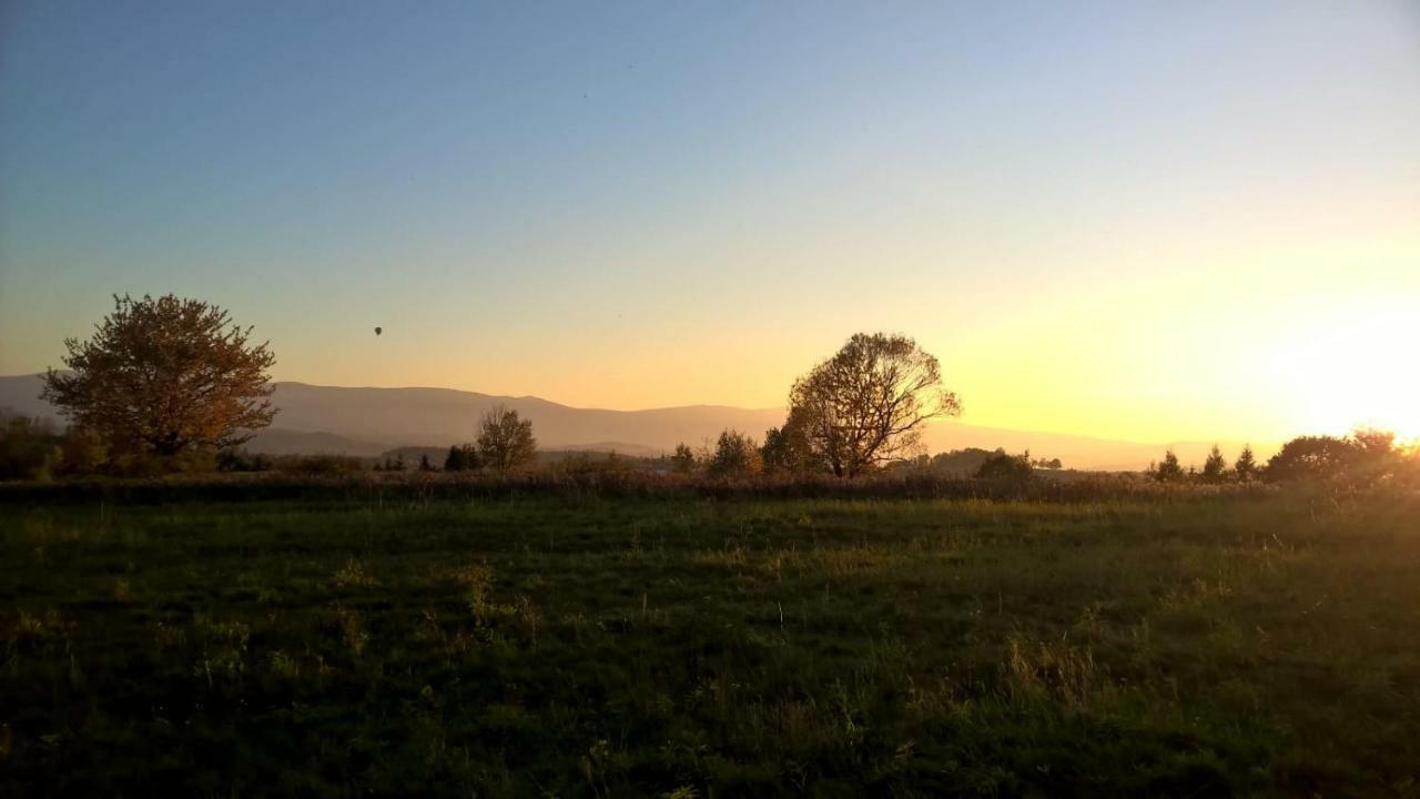 Agroturystyka Ulima Dziwiszow Extérieur photo