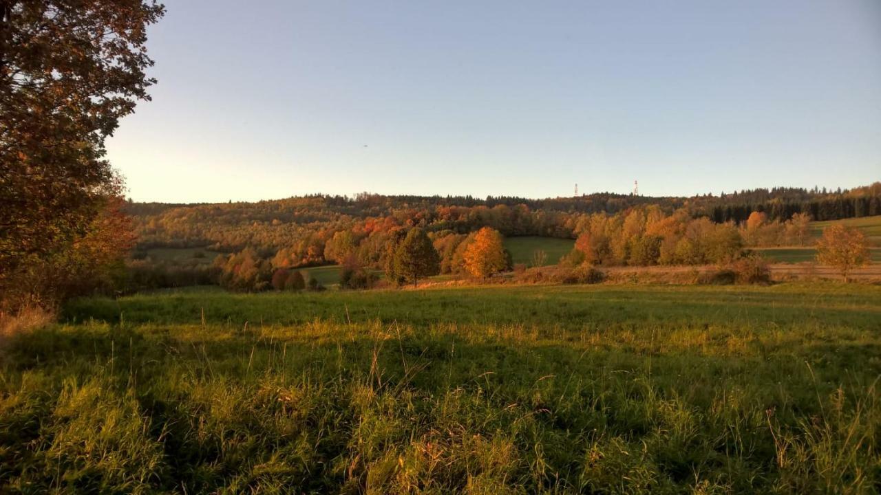 Agroturystyka Ulima Dziwiszow Extérieur photo